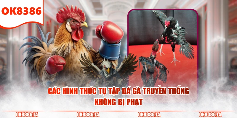 Các hình thức tụ tập đá gà truyền thống không bị phạt