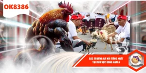 các trường gà nổi tiéng nhất tại ok8386