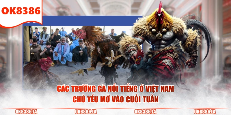 Các trường gà nổi tiếng ở Việt Nam chủ yếu mở vào cuối tuần